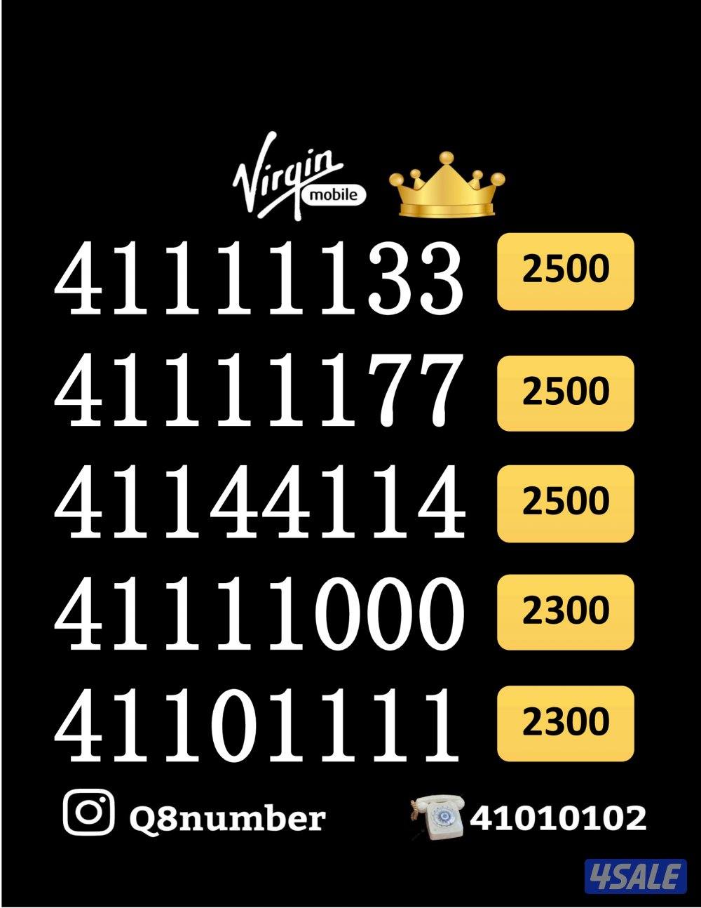 شاهد الصور12