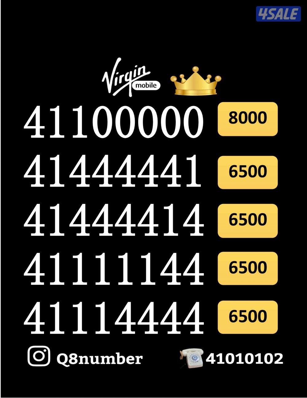 شاهد الصور14