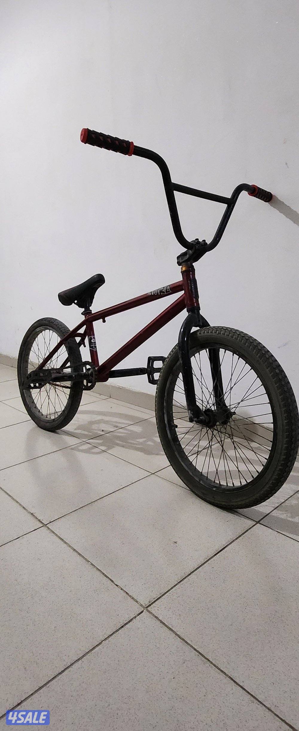 DK BMX BIKE1