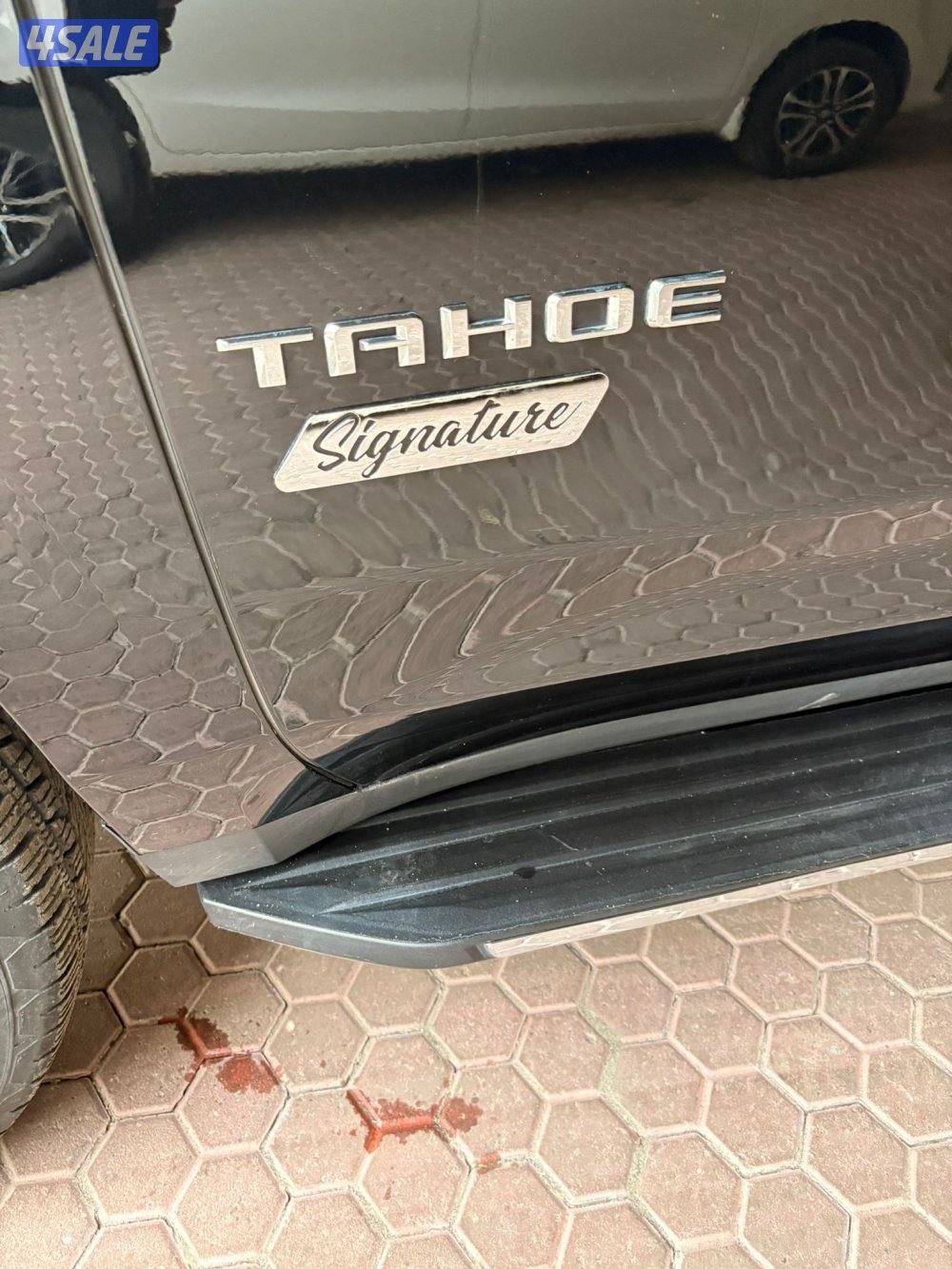 تاهو صبغ الوكالة سقنجير ٢٠٢٣8