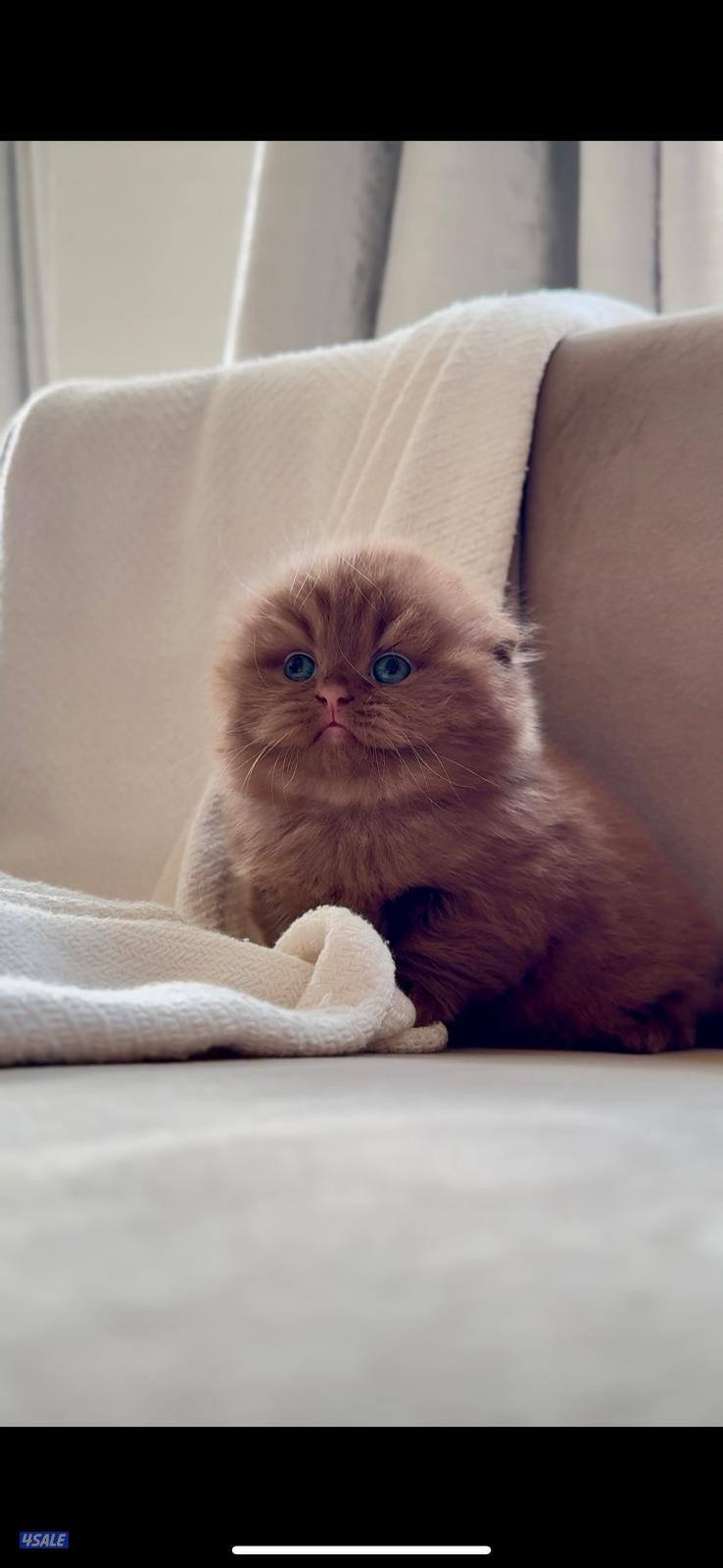 ماتلقى اجمل من انتاجنا واسأل بالسوق 😬2