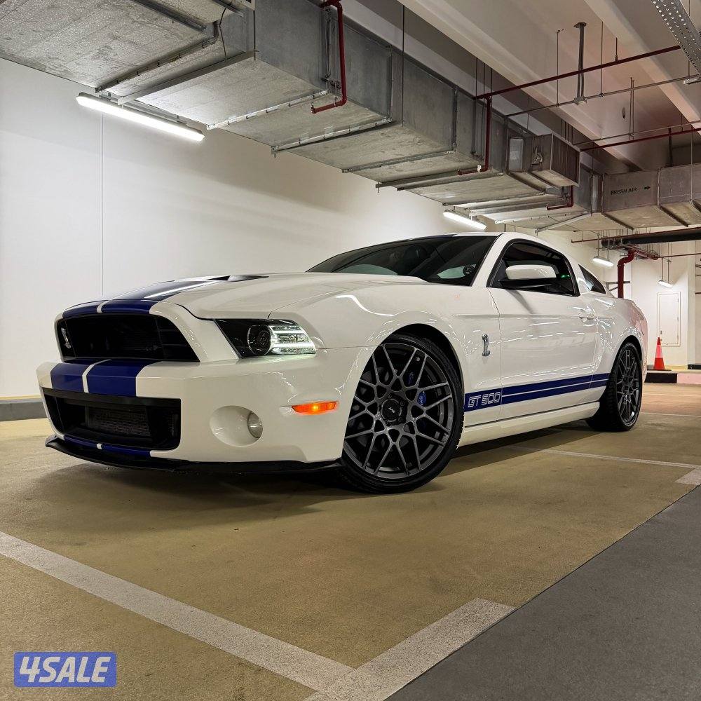 شلبي جي تي shelby GT5000