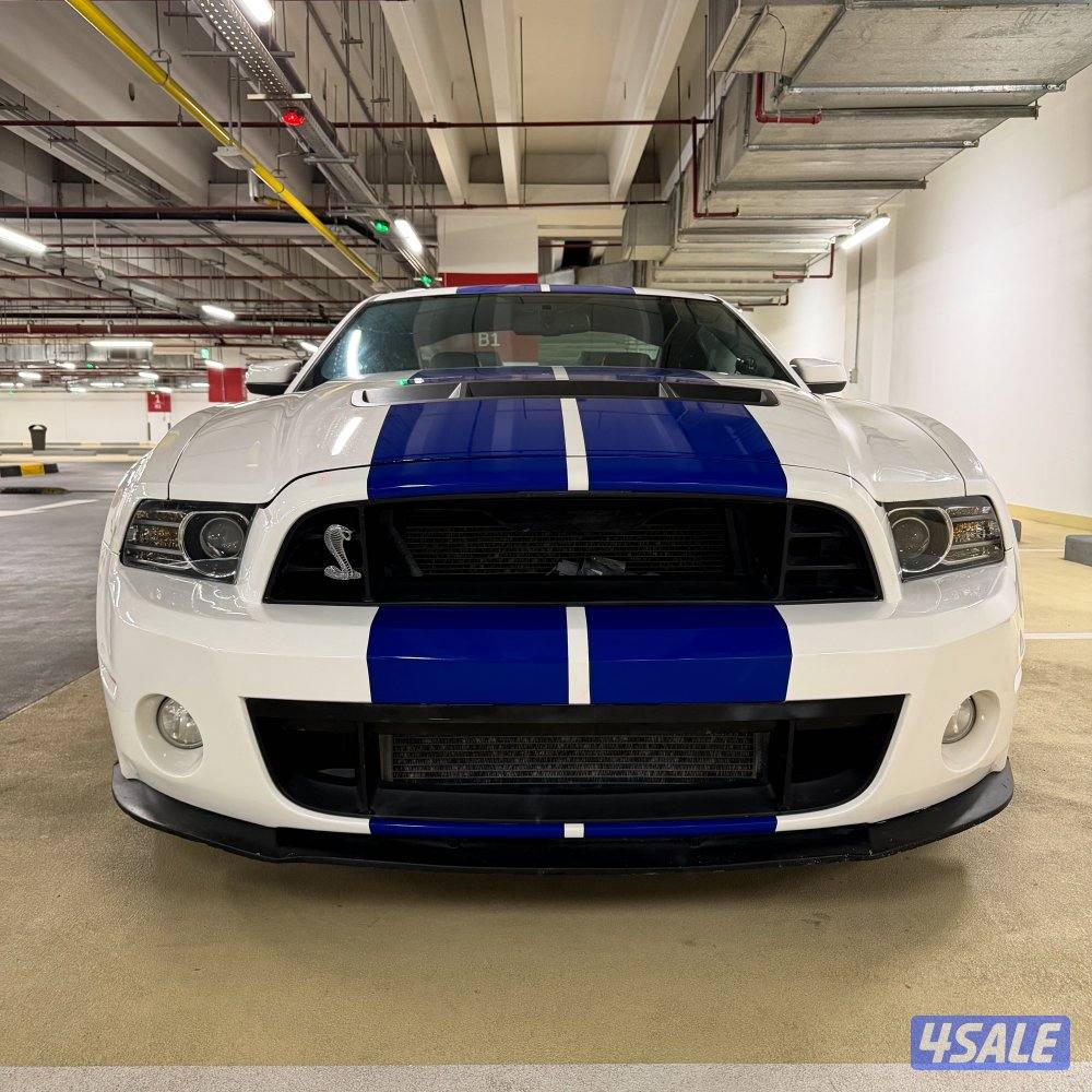 شلبي جي تي shelby GT5003