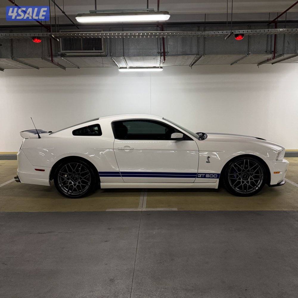 شلبي جي تي shelby GT5005