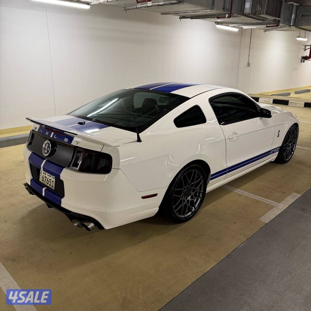شلبي جي تي shelby GT5007