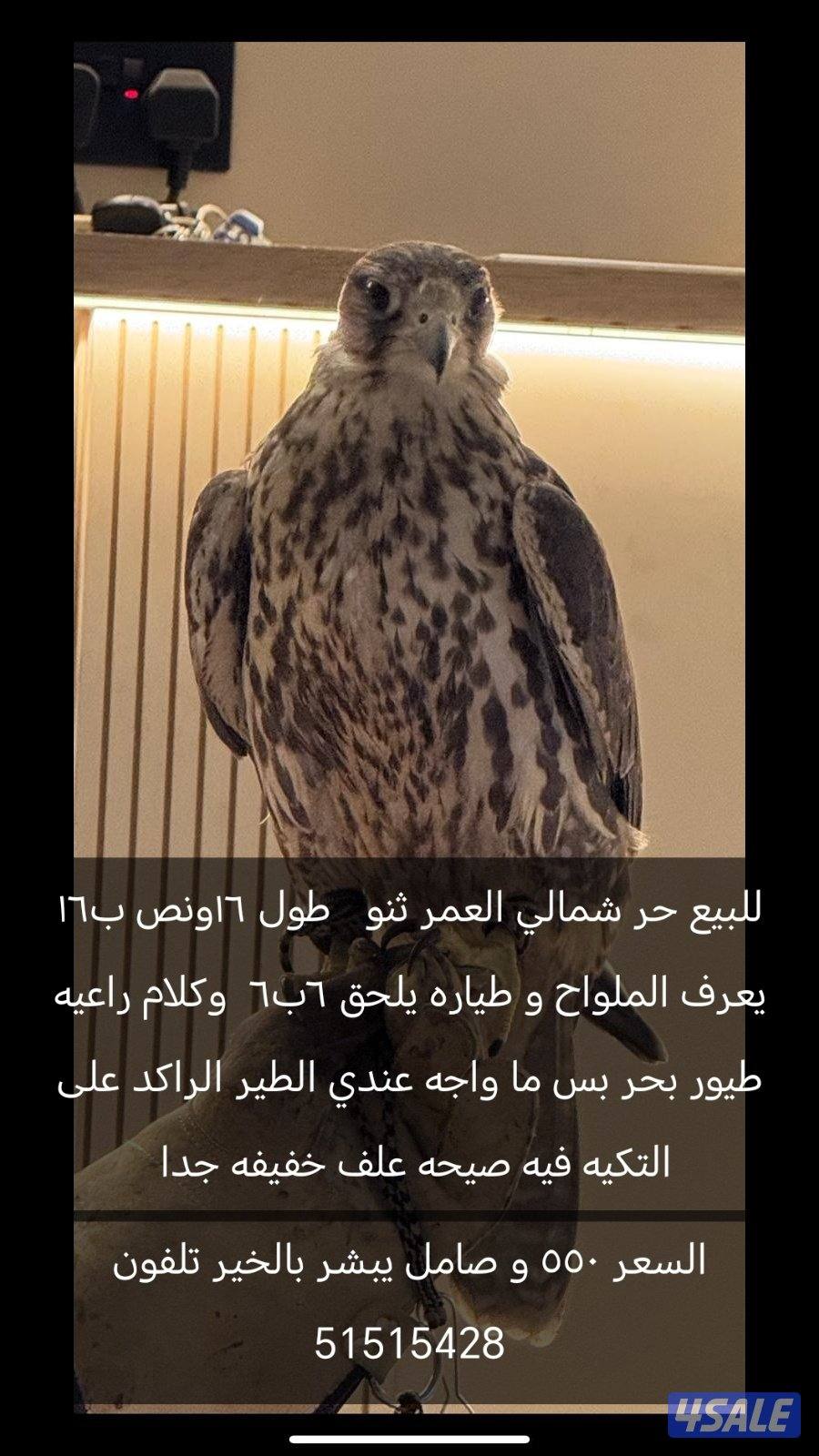 للبيع حر شمالي0