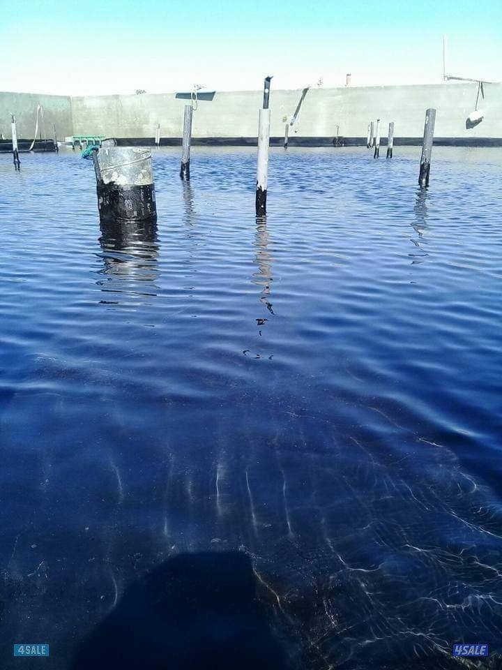 مقاول عازل2