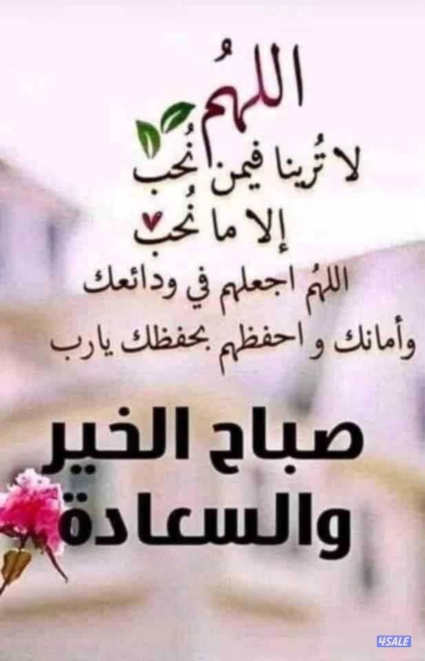 شقه صغيره صباح الاحمد/بيت صباحيه وصباح الاحمد/ ادوار ارضيه بام الهيمان0