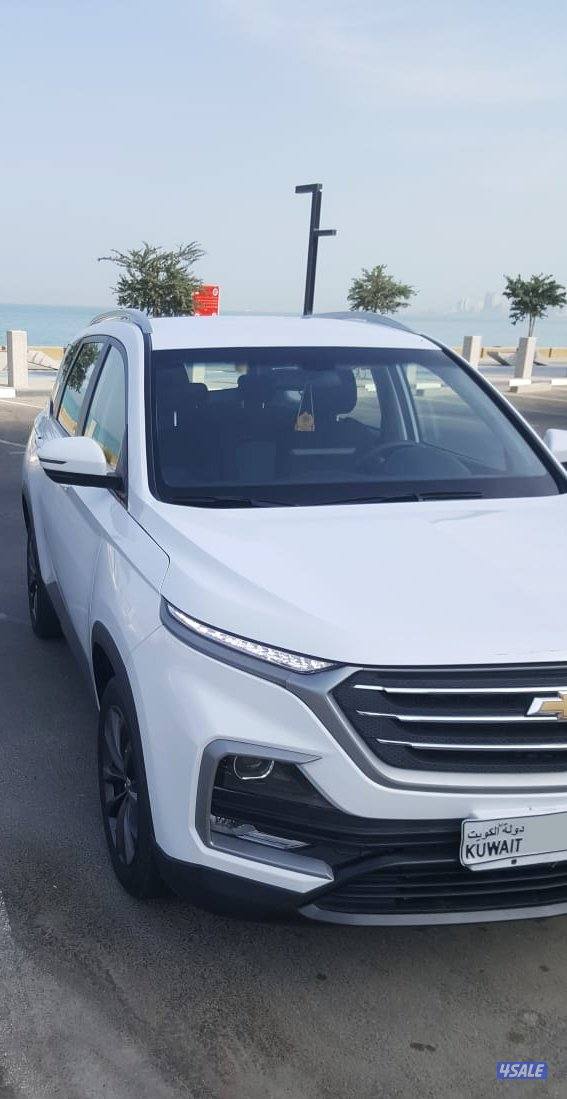 شفر كابتيفا 20233