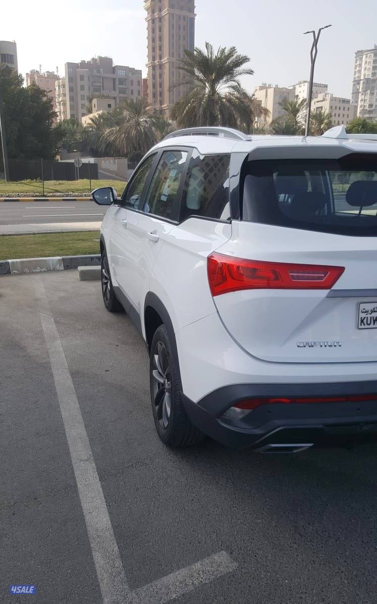 شفر كابتيفا 20234