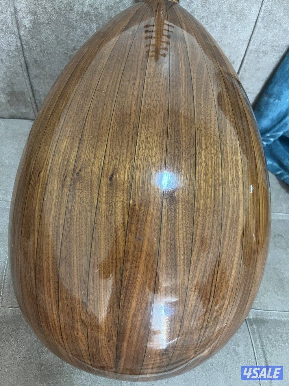 للبيع سالميين ٢٠٠٩1