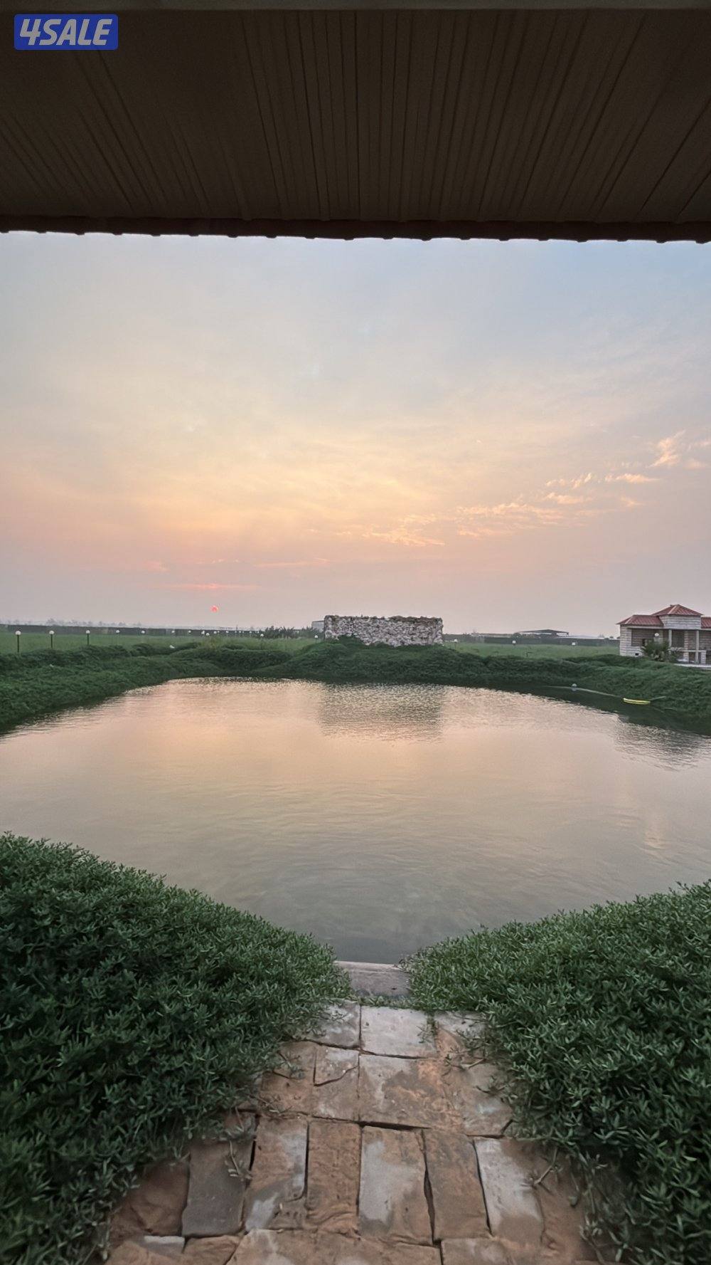 العبدلي متوفر رأس السنة مزرعة VIP11