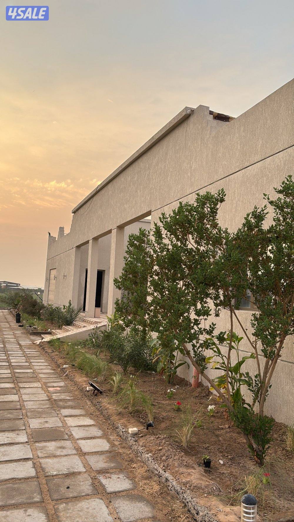 العبدلي متوفر رأس السنة مزرعة VIP14