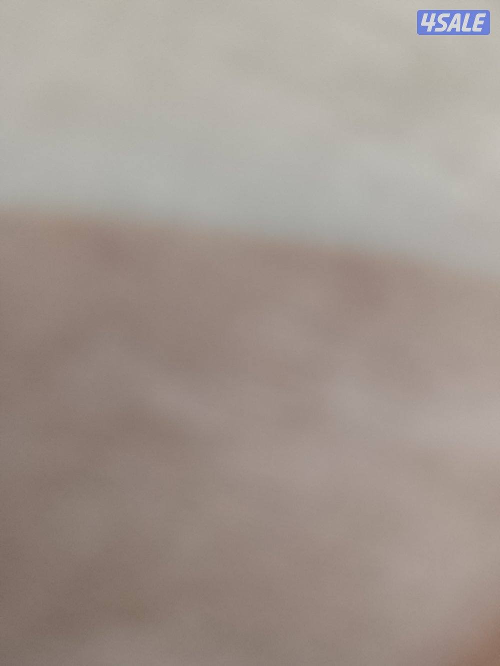 شاب سوداني يدور شغل ابل غنم0