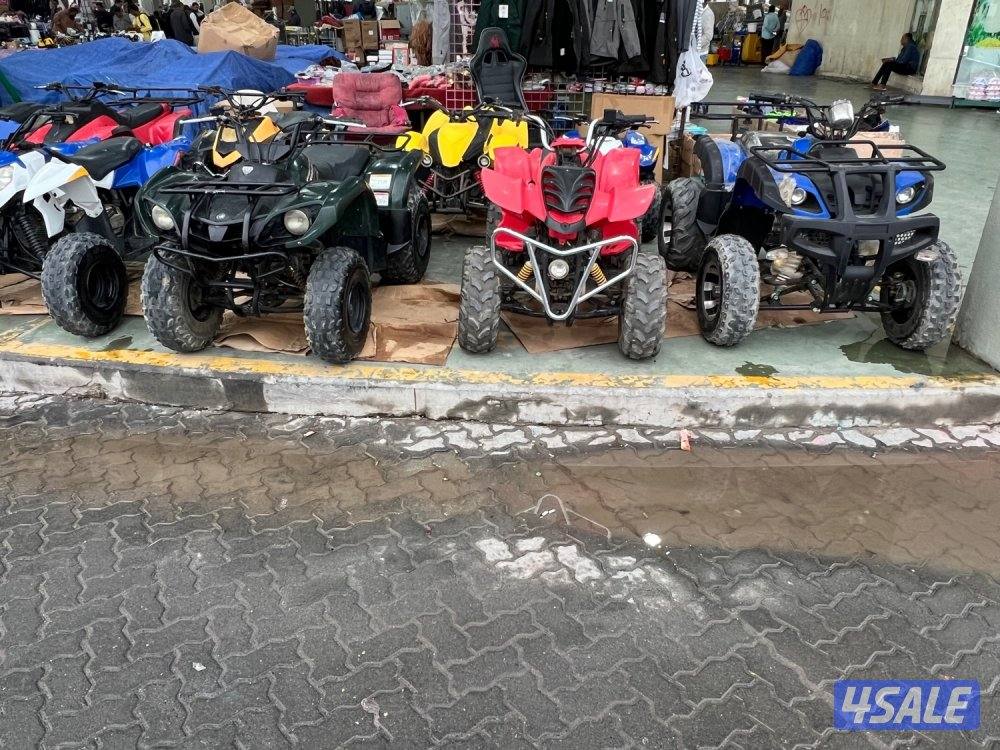 البيع جميع انواع البقيات2