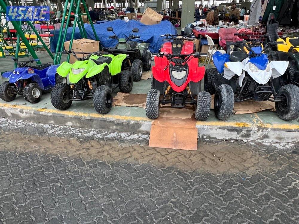 البيع جميع انواع البقيات1