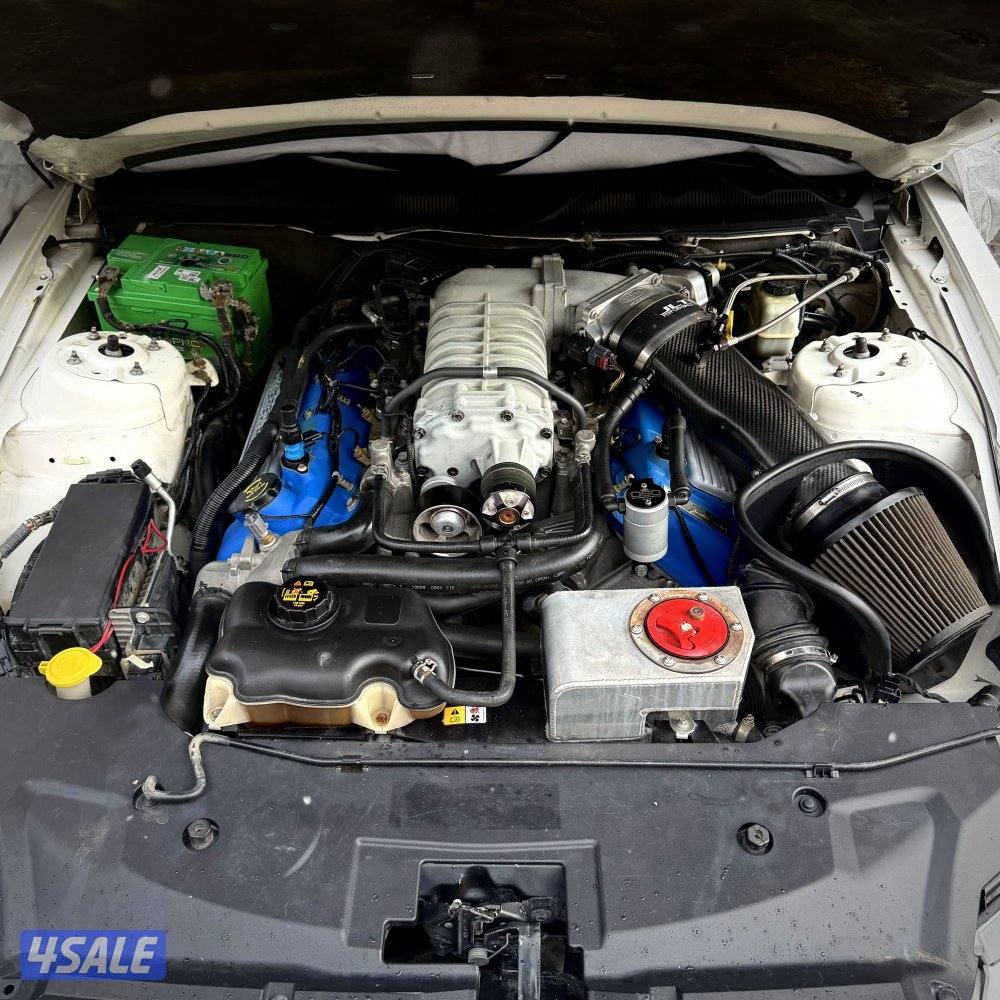 شلبي جي تي shelby GT50014