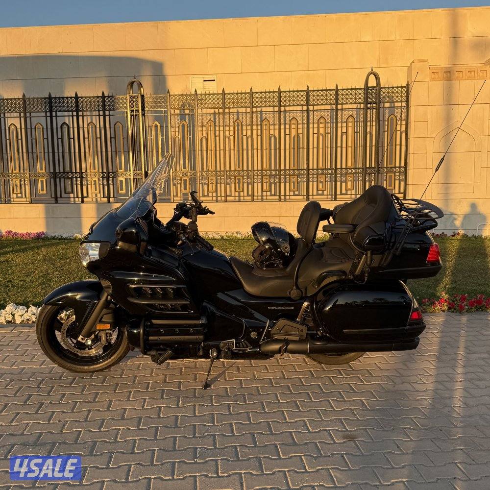 قولد ونج ٢٠١٠3