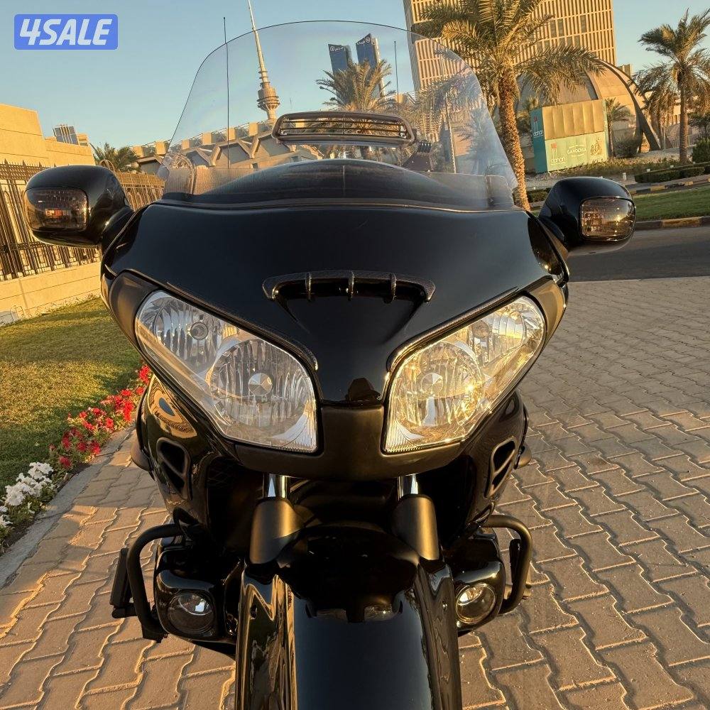 قولد ونج ٢٠١٠4