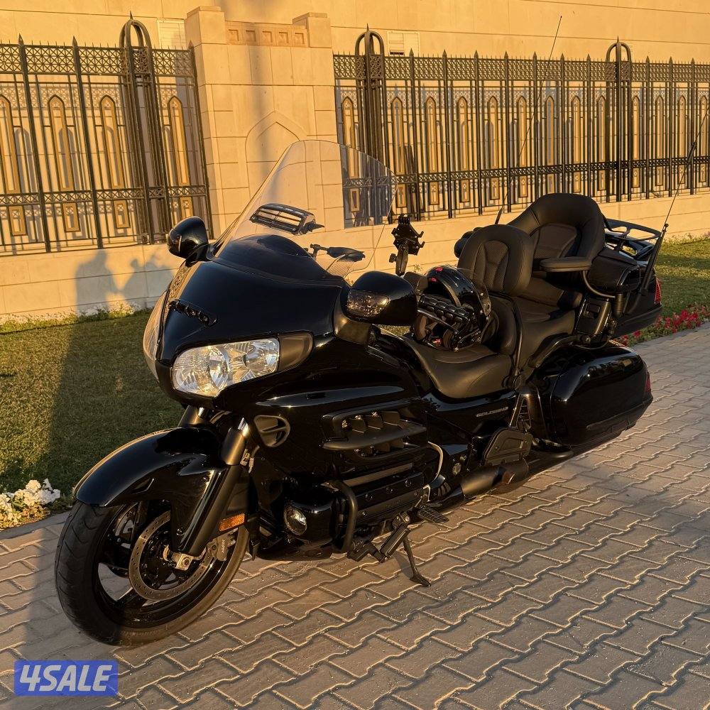 قولد ونج ٢٠١٠5