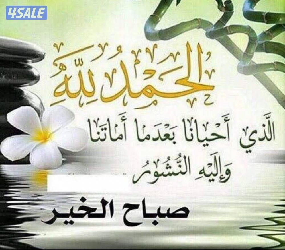 كرسي مساج للبيع مصفاط 500 دينار ماركة oto0