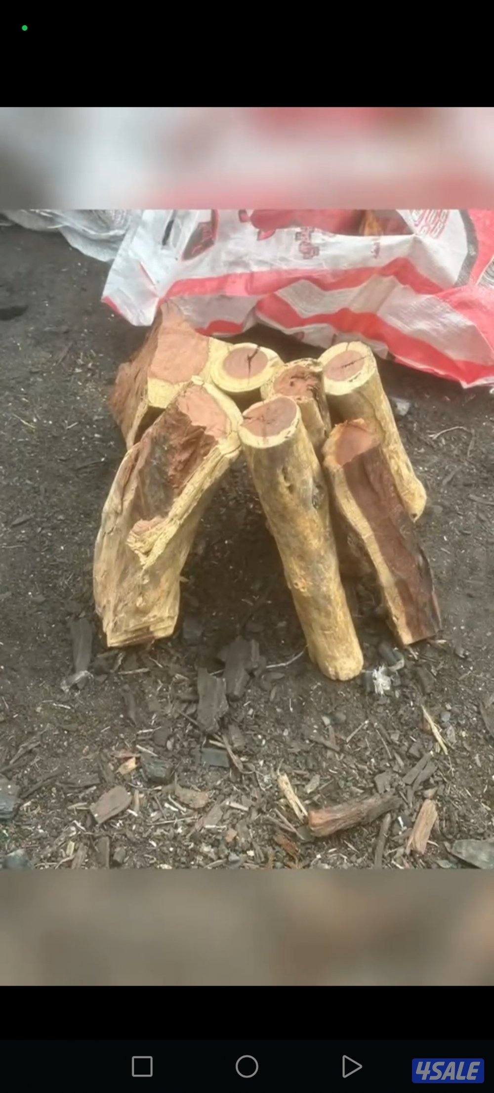 حطب السمرالافريقي والفحم الطبيعي والصناعي4