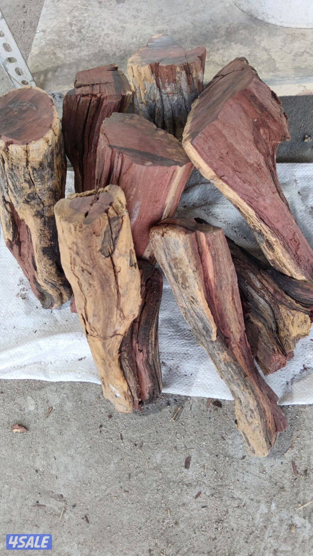 حطب السمرالافريقي والفحم الطبيعي والصناعي6