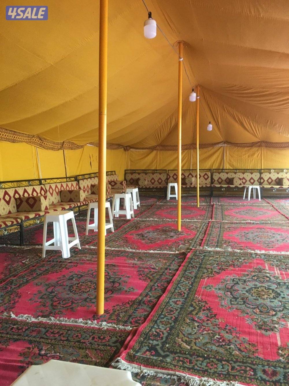 افراح الكويت14