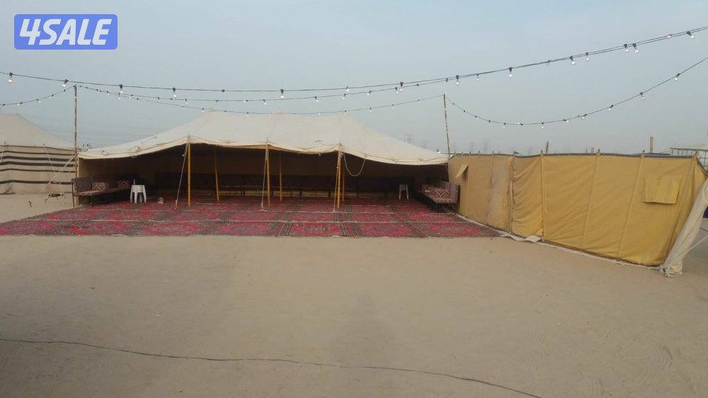 افراح الكويت15