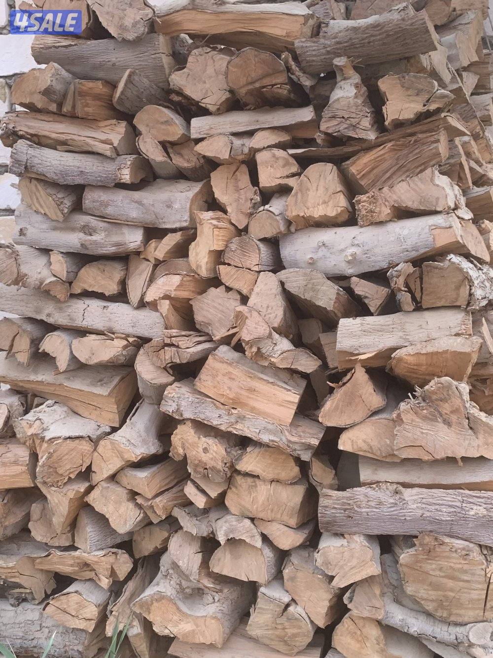 حطب شب زيتون أفريقي0