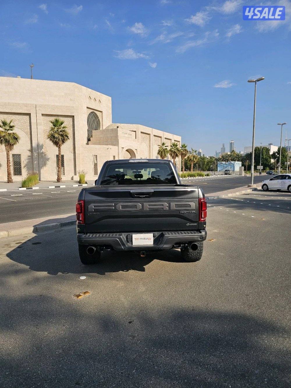 Ford F-150 Raptor 20194