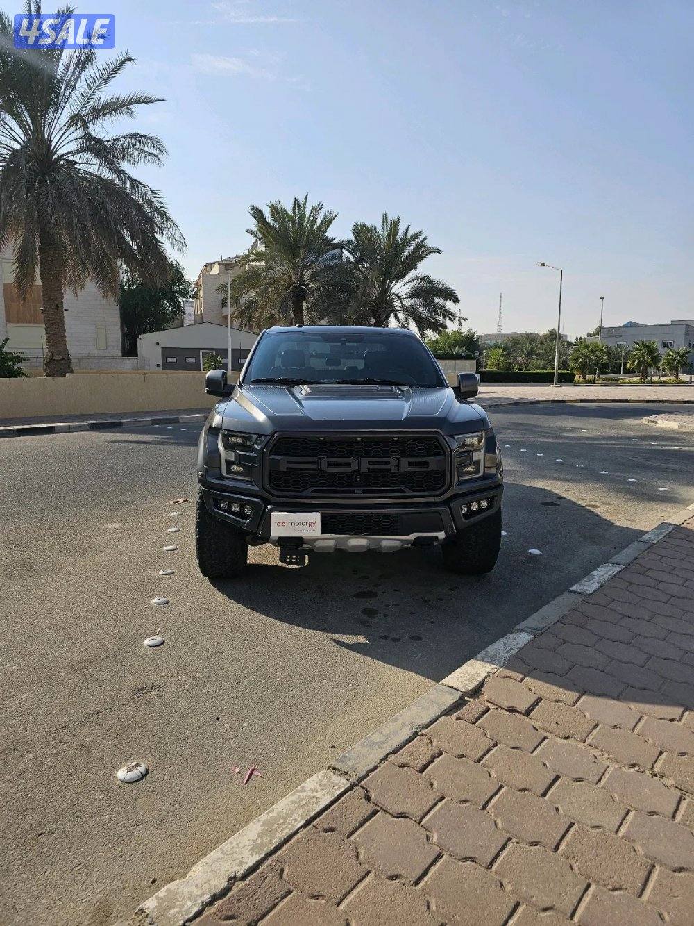 Ford F-150 Raptor 20195