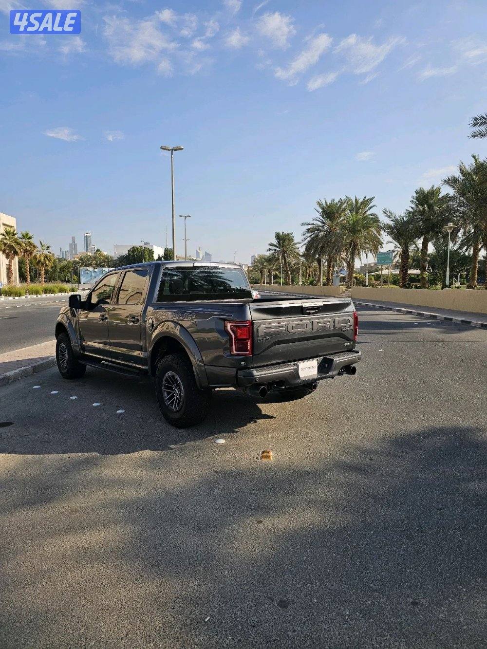 Ford F-150 Raptor 20196