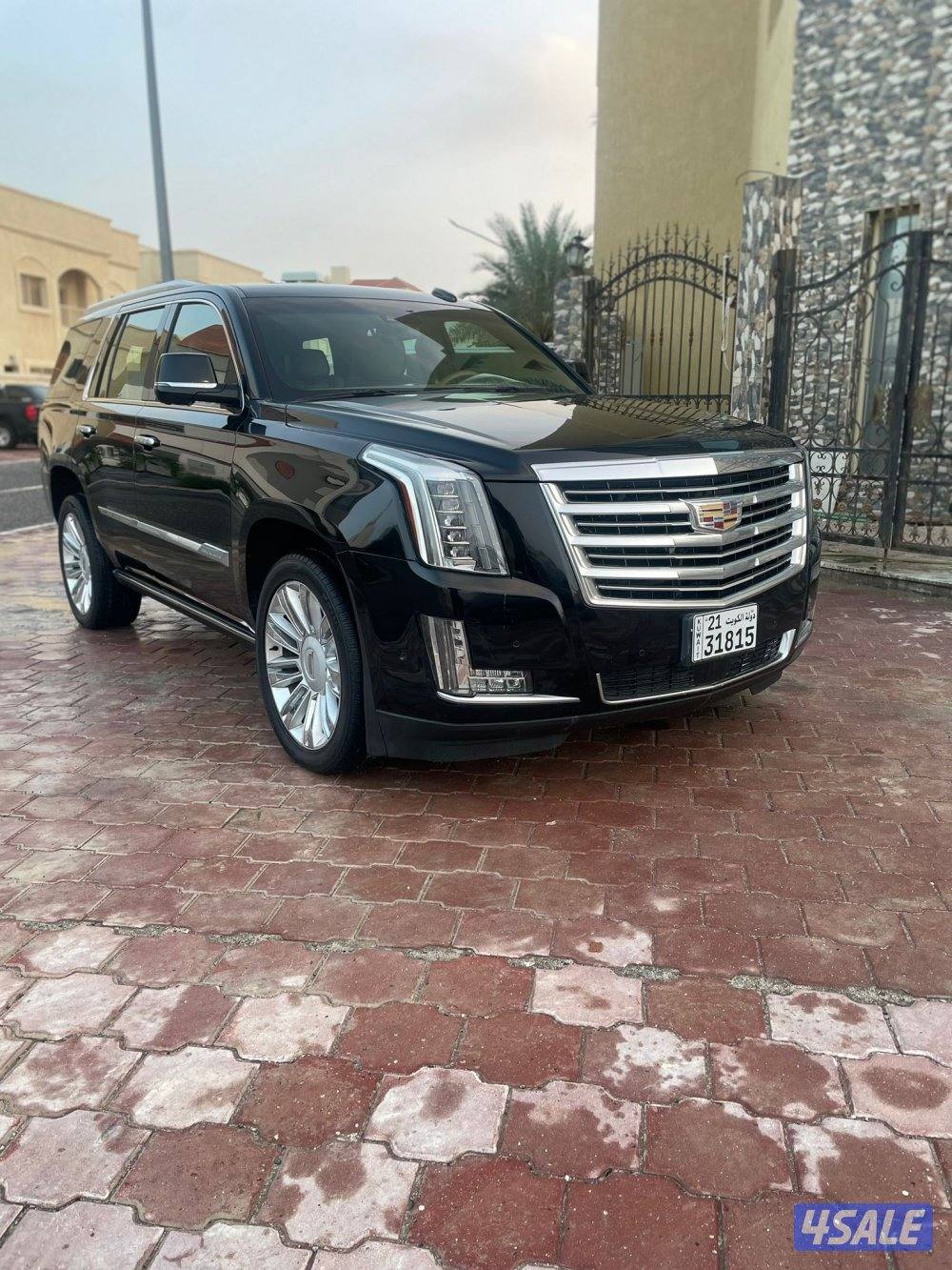 سكلد بلاتينيوم 20170