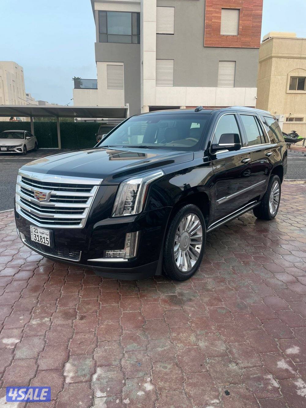 سكلد بلاتينيوم 20171