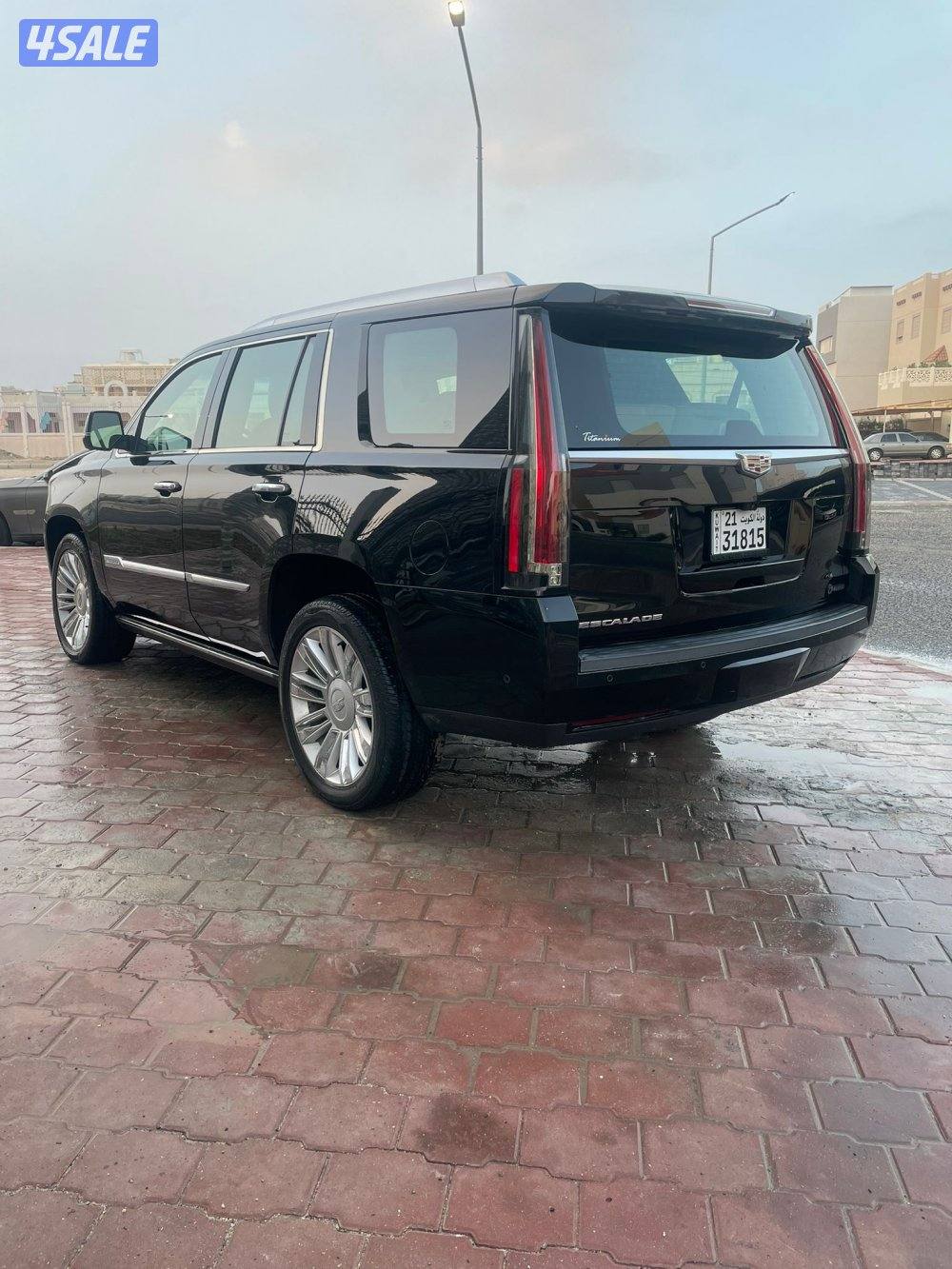 سكلد بلاتينيوم 20172