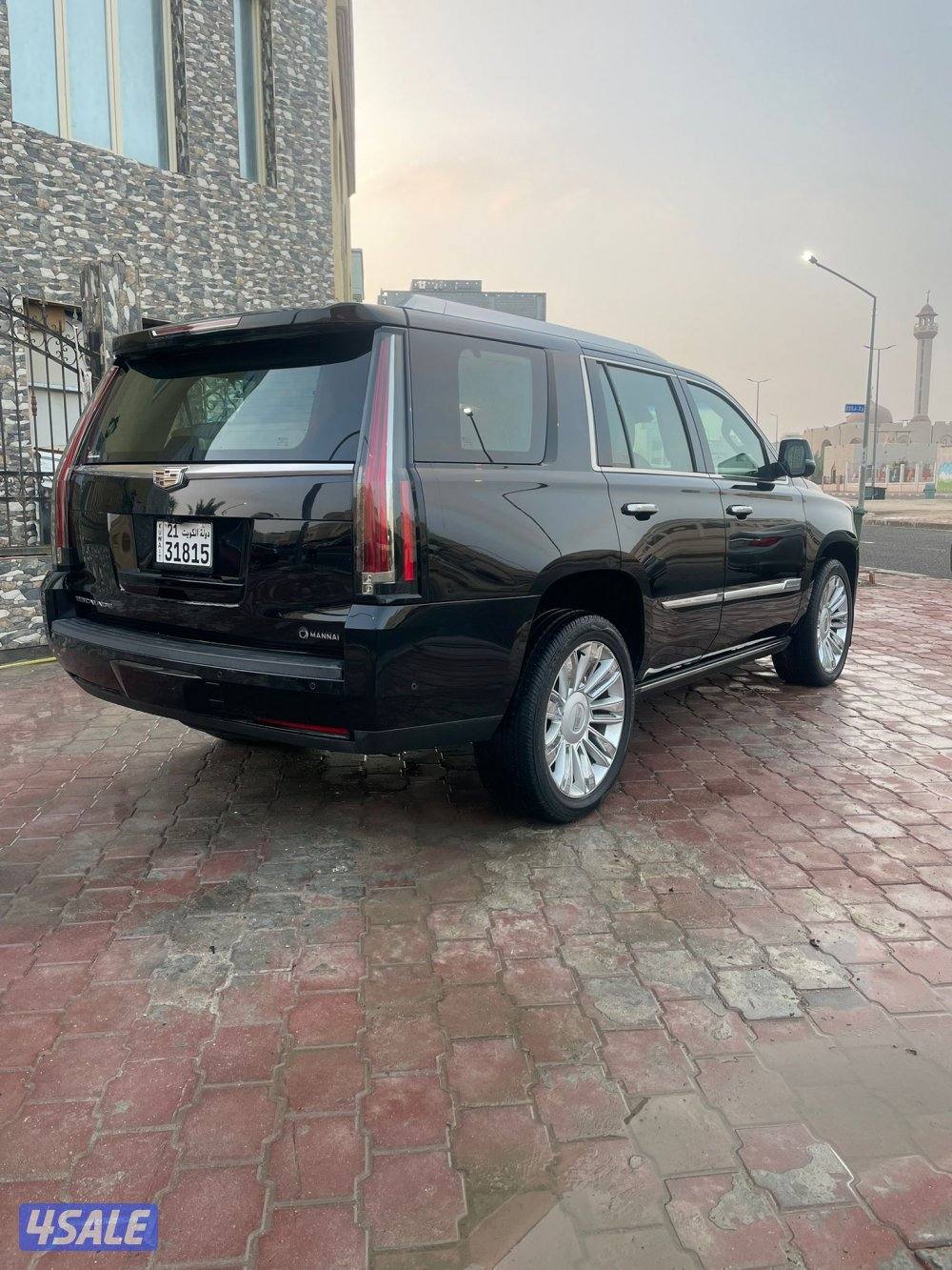 سكلد بلاتينيوم 20173