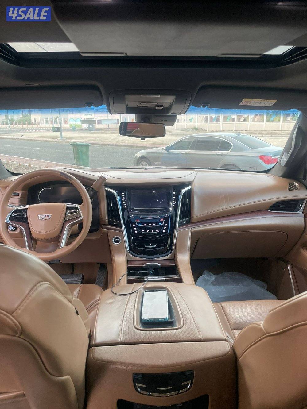 سكلد بلاتينيوم 20174