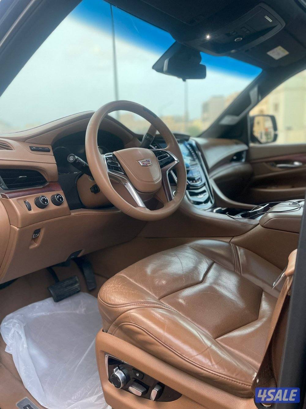 سكلد بلاتينيوم 20175