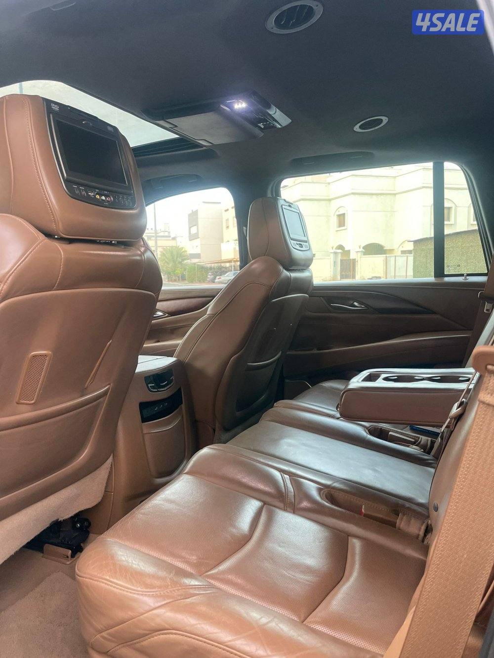 سكلد بلاتينيوم 20176