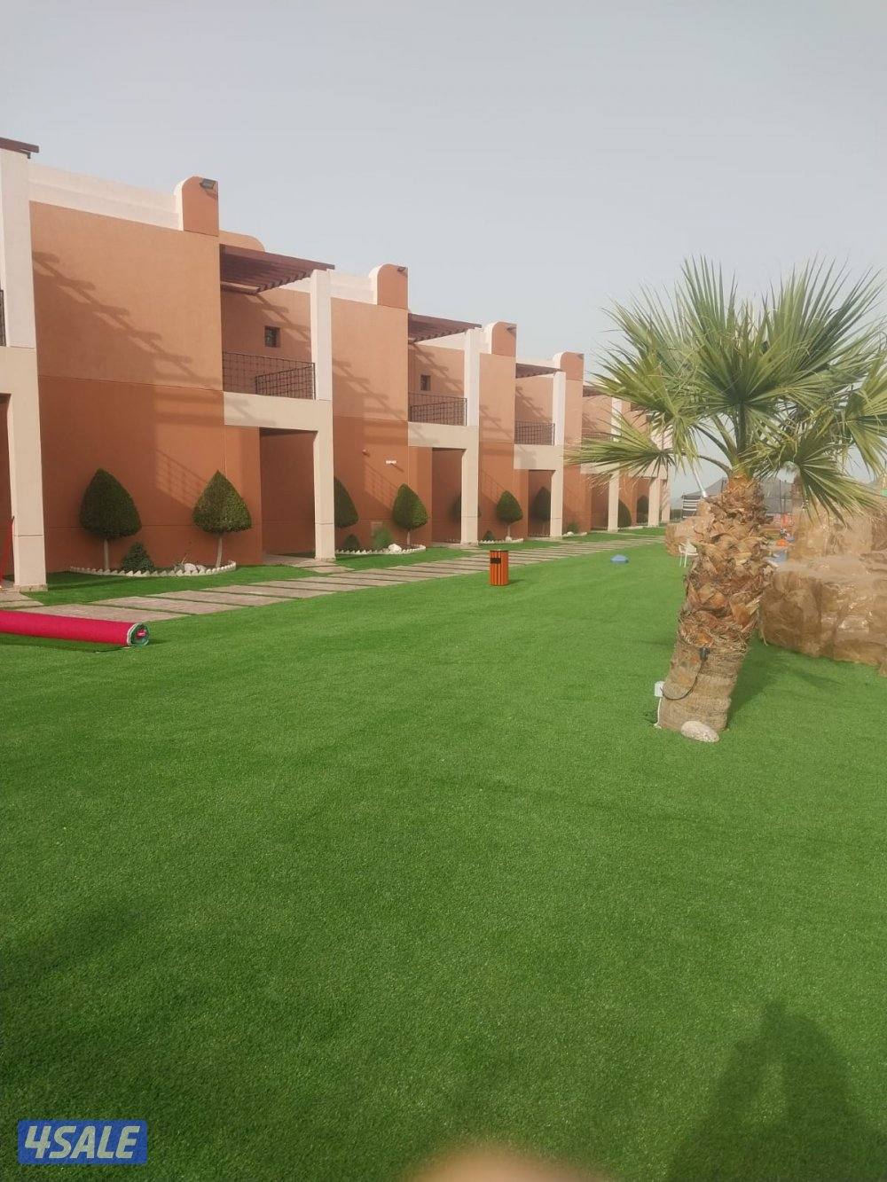 تنسيق حدائق ابو احمد0