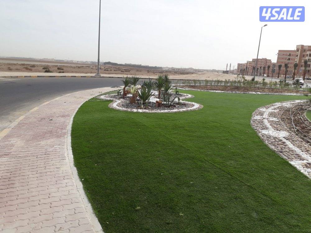 تنسيق حدائق ابو احمد11