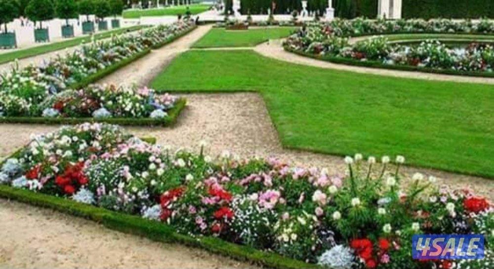 تنسيق الحدايق ابوعلي4