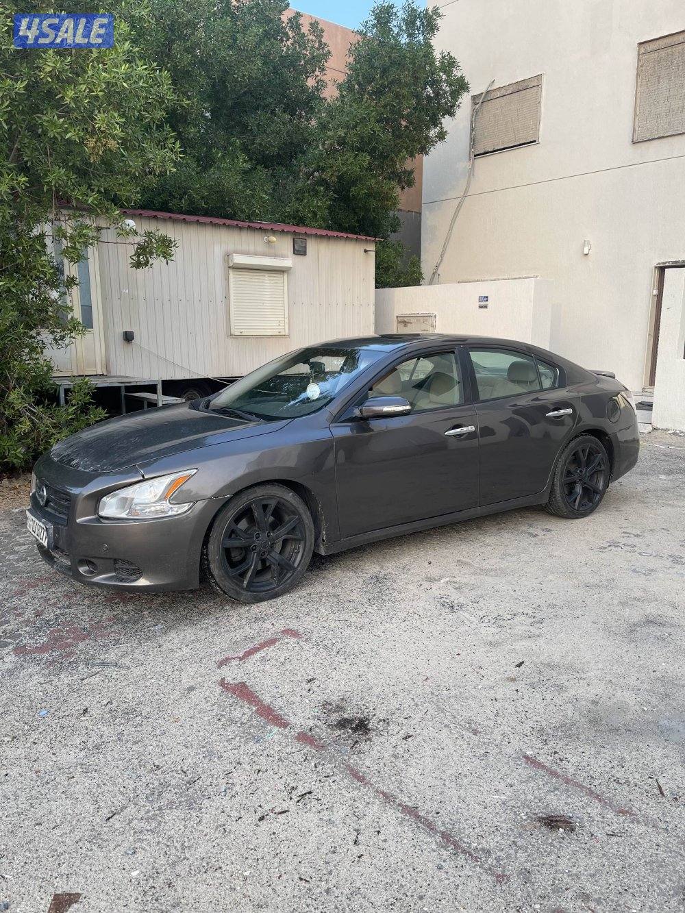 للبدل او للبيع1