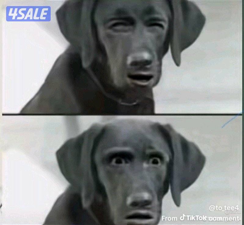 ايفون ١٦ برو ماكس مستخدم اقل من شهر لون ديزرت السعه ٢٥٦ كامل ملحقاته4