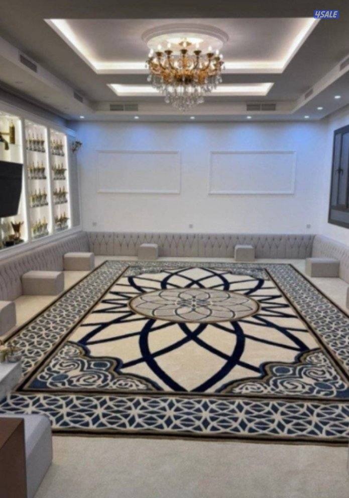 فرونيه ضجيج0