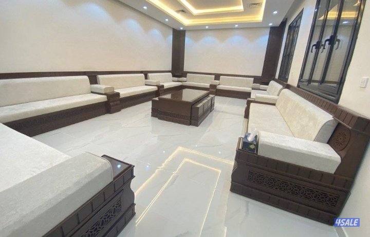 فرونيه ضجيج2