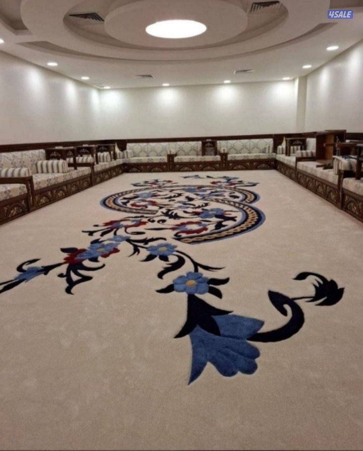 فرونيه ضجيج1