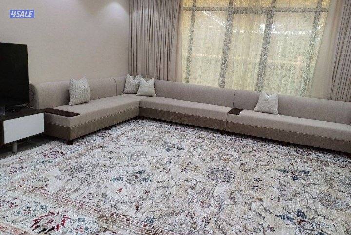 فرونيه ضجيج8