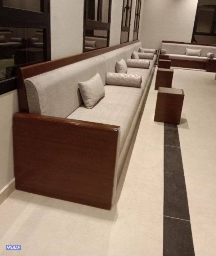 فرونيه ضجيج9